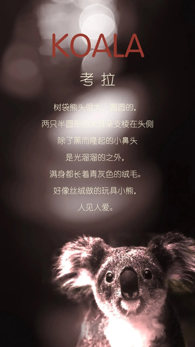 圖片關鍵詞